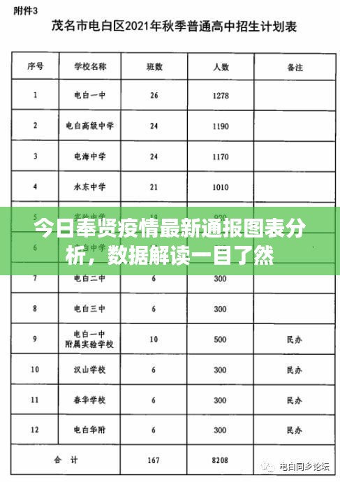 今日奉贤疫情最新通报图表分析，数据解读一目了然