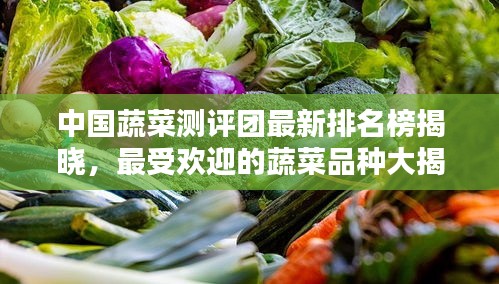 中国蔬菜测评团最新排名榜揭晓，最受欢迎的蔬菜品种大揭秘！