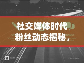 社交媒体时代粉丝动态揭秘，涨粉与掉粉如何平衡的秘密！