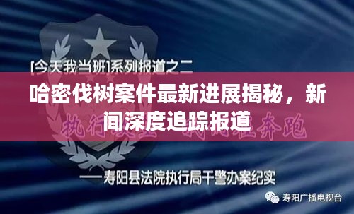 哈密伐树案件最新进展揭秘，新闻深度追踪报道