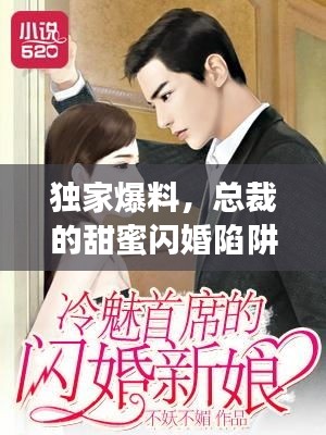 独家爆料，总裁的甜蜜闪婚陷阱！