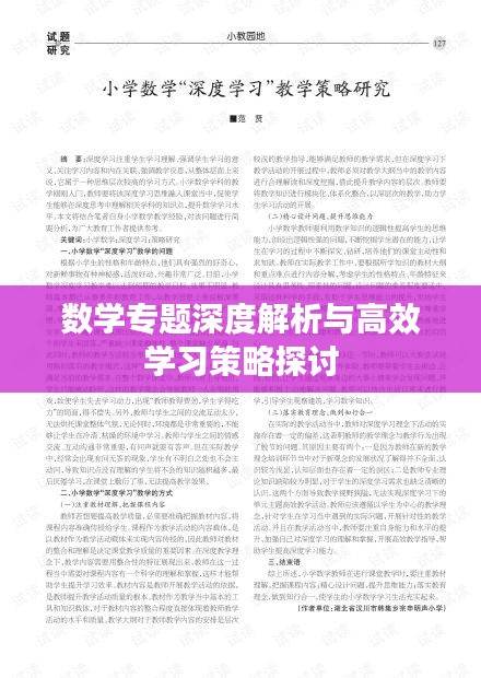 数学专题深度解析与高效学习策略探讨
