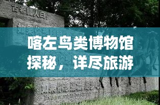 喀左鸟类博物馆探秘，详尽旅游攻略指南