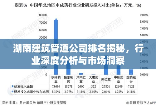 湖南建筑管道公司排名揭秘，行业深度分析与市场洞察
