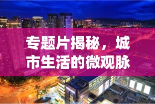 2025年5月24日