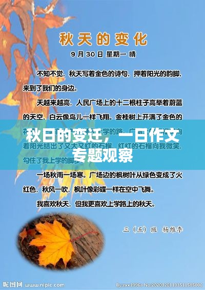 2025年6月11日 第2页