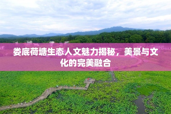 2025年6月27日