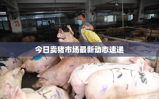 张惶失措