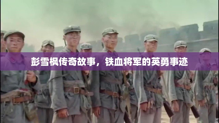 鸟语蝉鸣