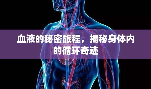 手不释卷